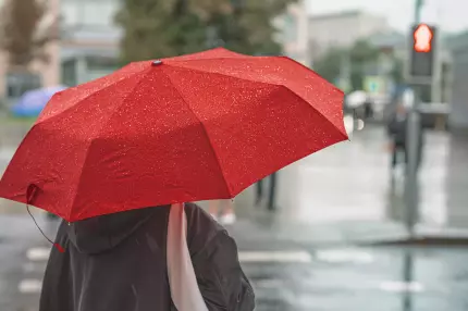 Vin ploile. Meteorologii anunţă averse în fiecare zi pentru următoarele două săptămâni. Prognoza pe regiuni în perioada 13 - 26 mai Vin ploile. Meteorologii anunţă averse în fiecare zi pentru următoarele două săptămâni. Prognoza pe regiuni în perioada 13 - 26 mai