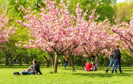 ANM a actualizat prognoza meteo pe 4 săptămâni. Temperaturi de 25 de grade în Săptămâna Mare Vremea în România până pe 5 mai