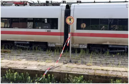 Atac cu cuțitul în Hamburg. Femeia care a înjunghiat 18 oameni fusese externată dintr-un spital de psihiatrie chiar cu o zi înainte Atac cu cuțitul în Hamburg. Femeia care a înjunghiat 18 oameni fusese externată dintr-un spital de psihiatrie chiar cu o zi înainte